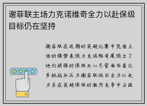 谢菲联主场力克诺维奇全力以赴保级目标仍在坚持